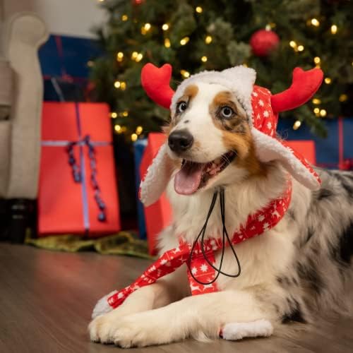 Huxley & Kent Pet Hat | קרני אדום פיירסל | אביזר חג חג המולד חגיגי לכלבים/חתולים | כובע חיית מחמד